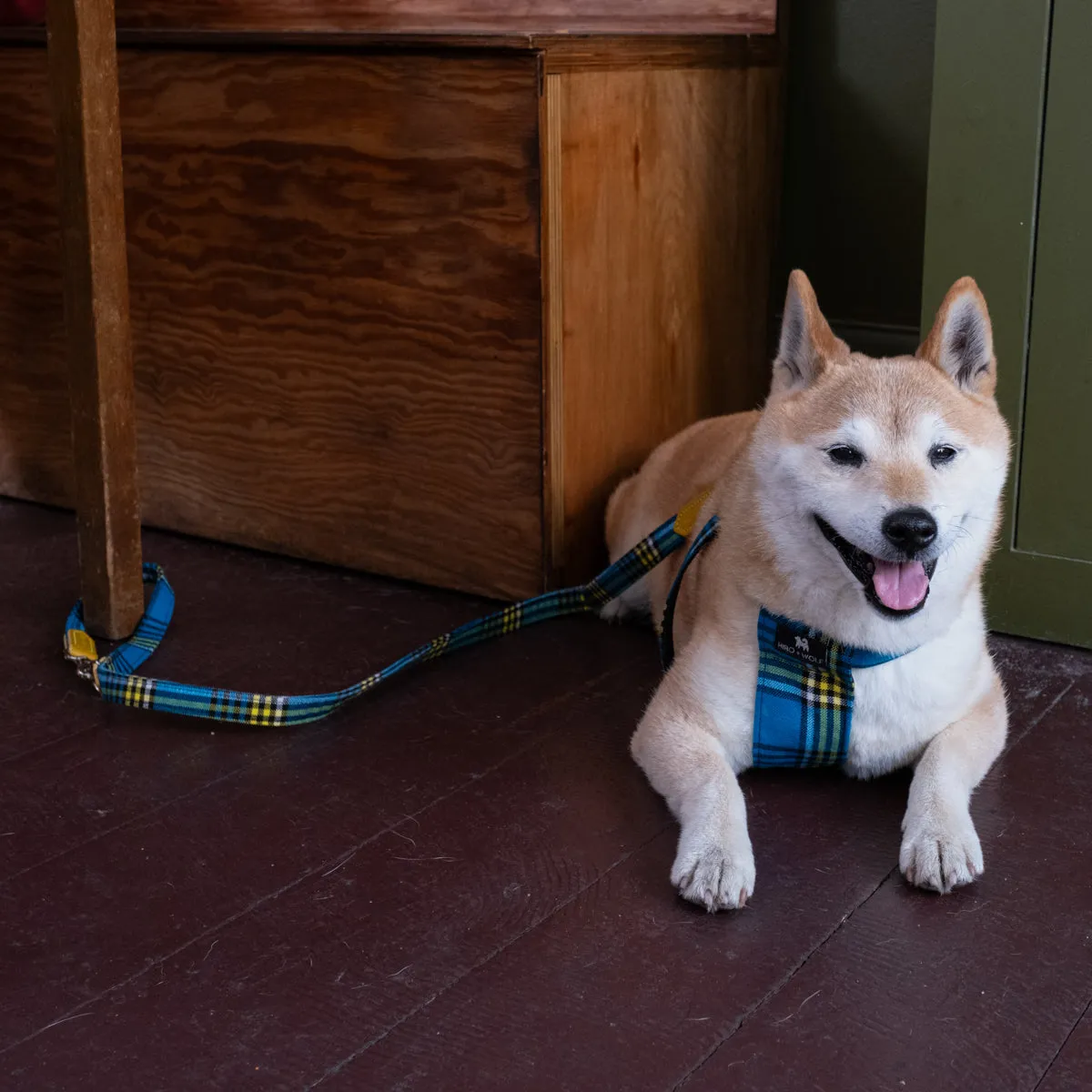 Shuka Blue Café Dog Lead