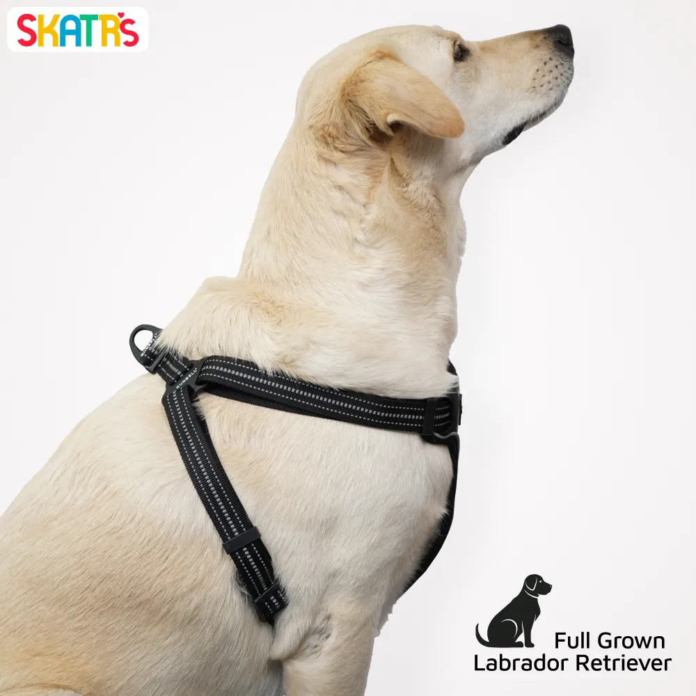 Skatrs Adventure in Style & Comfort Eclipse Padded Harness for Dogs (Black)