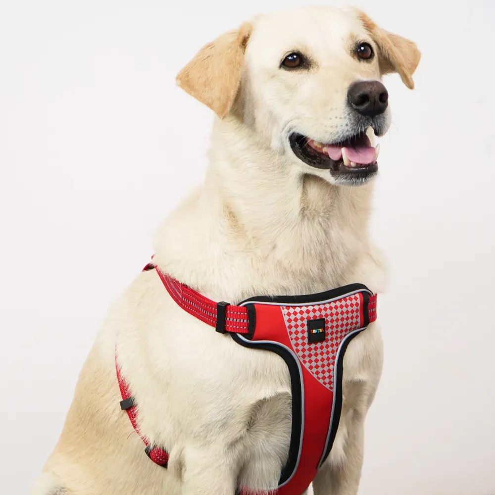 Skatrs Adventure in Style & Comfort Fiery Padded Harness for Dogs (Red)