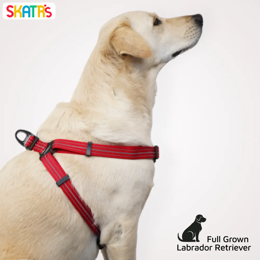 Skatrs Adventure in Style & Comfort Fiery Padded Harness for Dogs (Red)